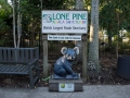 Australien, Brisbane, Koala Sanctuary, Lone Pine
