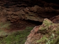 Australien, Mt. Tambourine, National Park