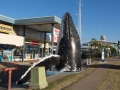 2014, Australien, Hervey Bay