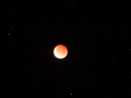 2014, Australien, Mond, Rot, Tin Can Bay