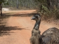 2014, Australien, Meruba, Wetland