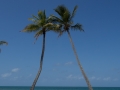 2014, Australien, Blau, Himmel, Mission Beach, Strand, Wolken