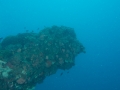 2014, Australien, Ayr, SS Yongala, Tauchen