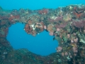 2014, Australien, Ayr, SS Yongala, Tauchen