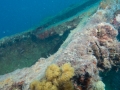 2014, Australien, Ayr, SS Yongala, Tauchen